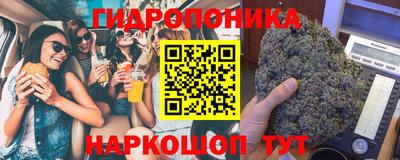 ешки Можга